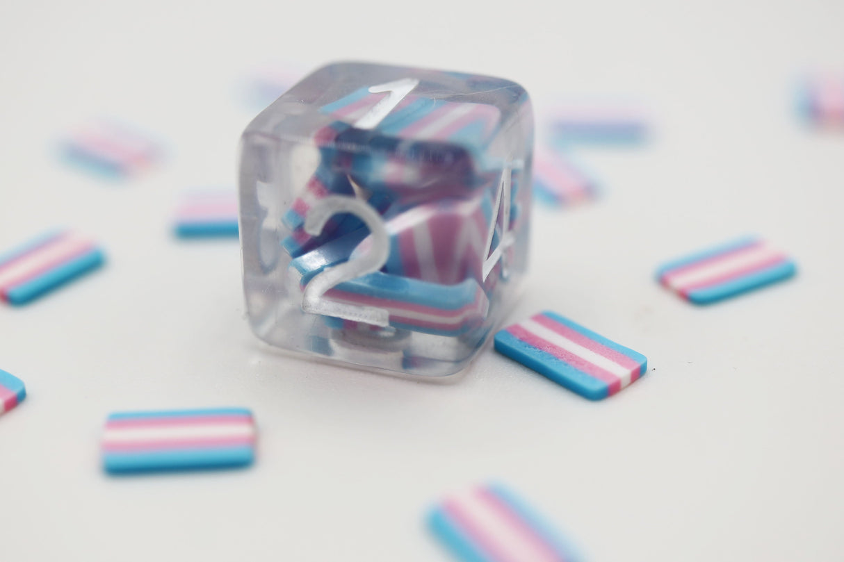 Pride Flag Single D6 Plastic Dice Foam Brain Games