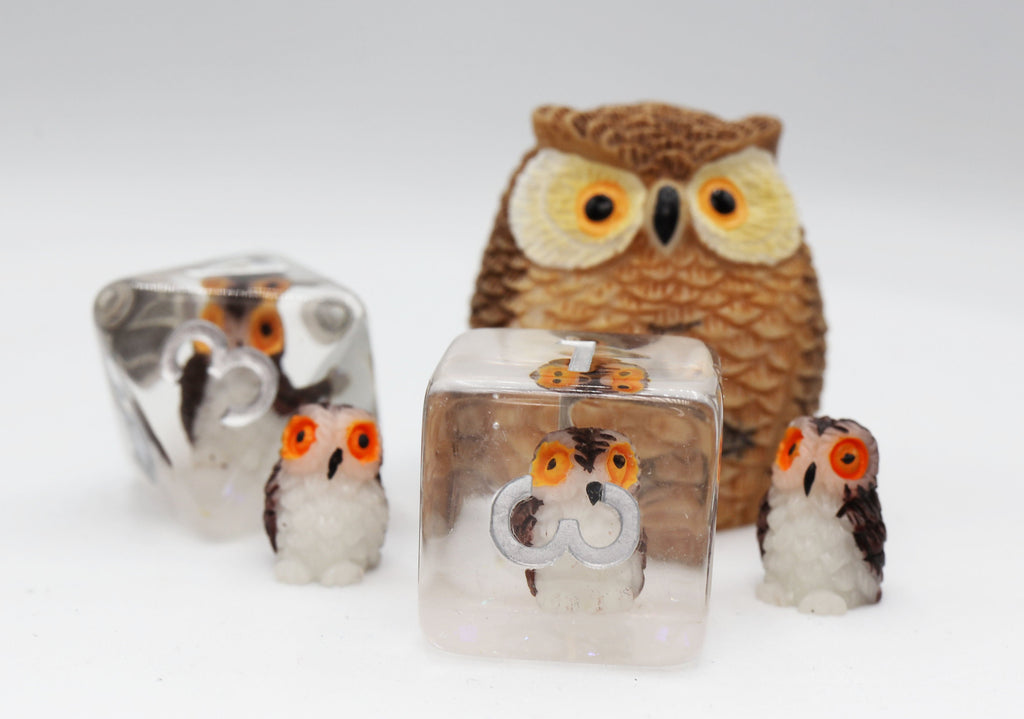 Wise Owl RPG Dice Set Plastic Dice Foam Brain Games