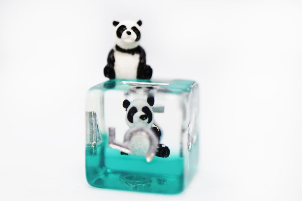 Panda on Water RPG Dice Set Plastic Dice Foam Brain Games