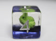 Colorful Chameleon RPG Dice Set Plastic Dice Foam Brain Games