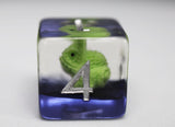 Colorful Chameleon RPG Dice Set Plastic Dice Foam Brain Games