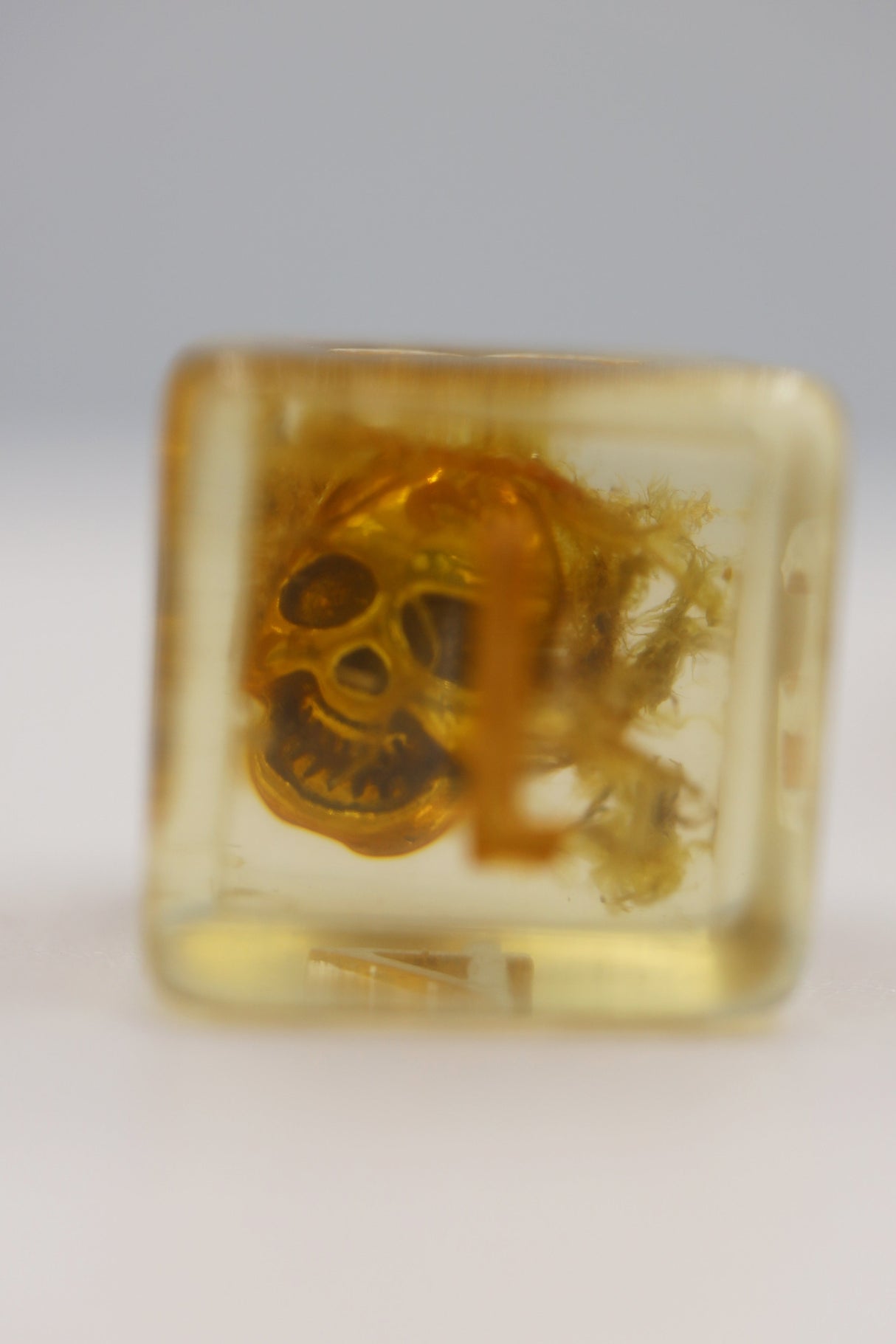 Pirate Skull RPG Dice Set Plastic Dice Foam Brain Games