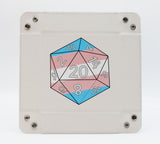 Pride D20 Snap Tray: Transgender Dice Tray Foam Brain Games